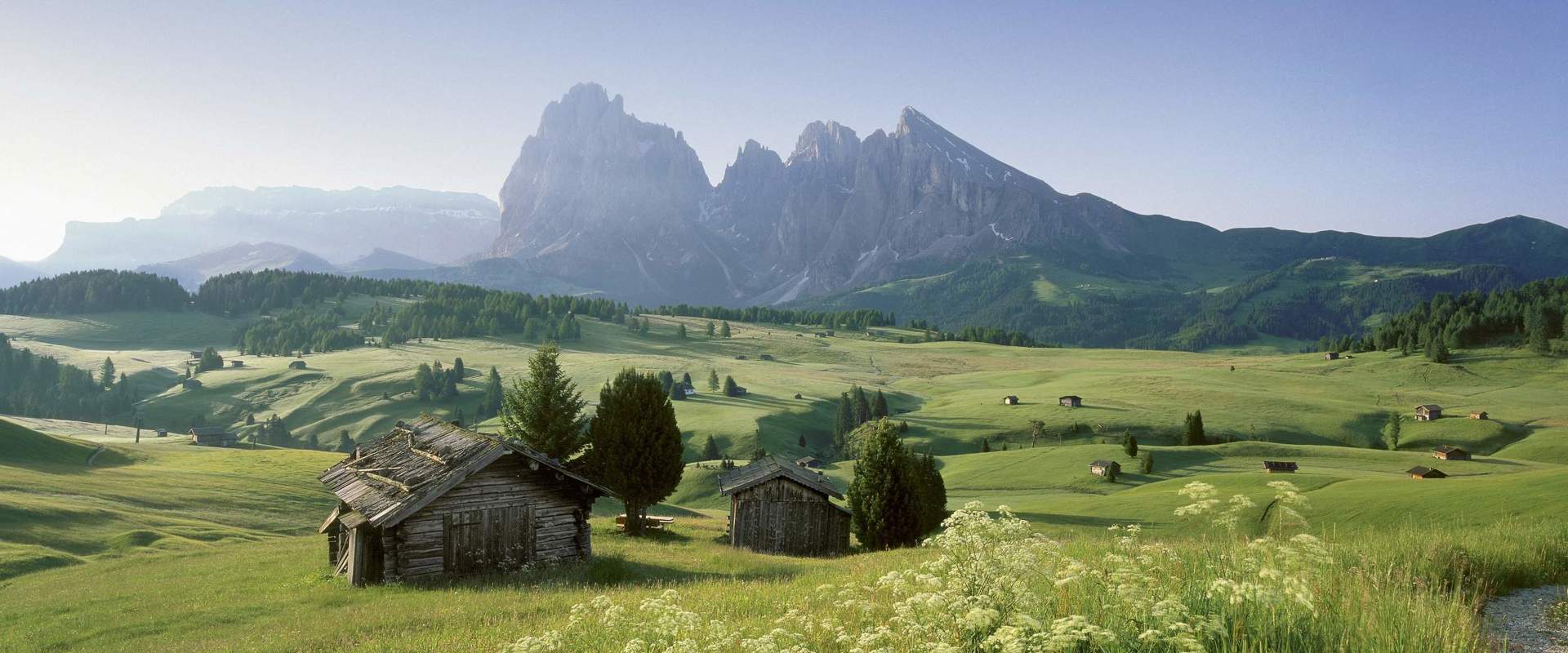 L' Alpe di Siusi d'estate Baite di legno su un altopiano verde circondato da prati e conifere. Sullo sfondo le Dolomiti.