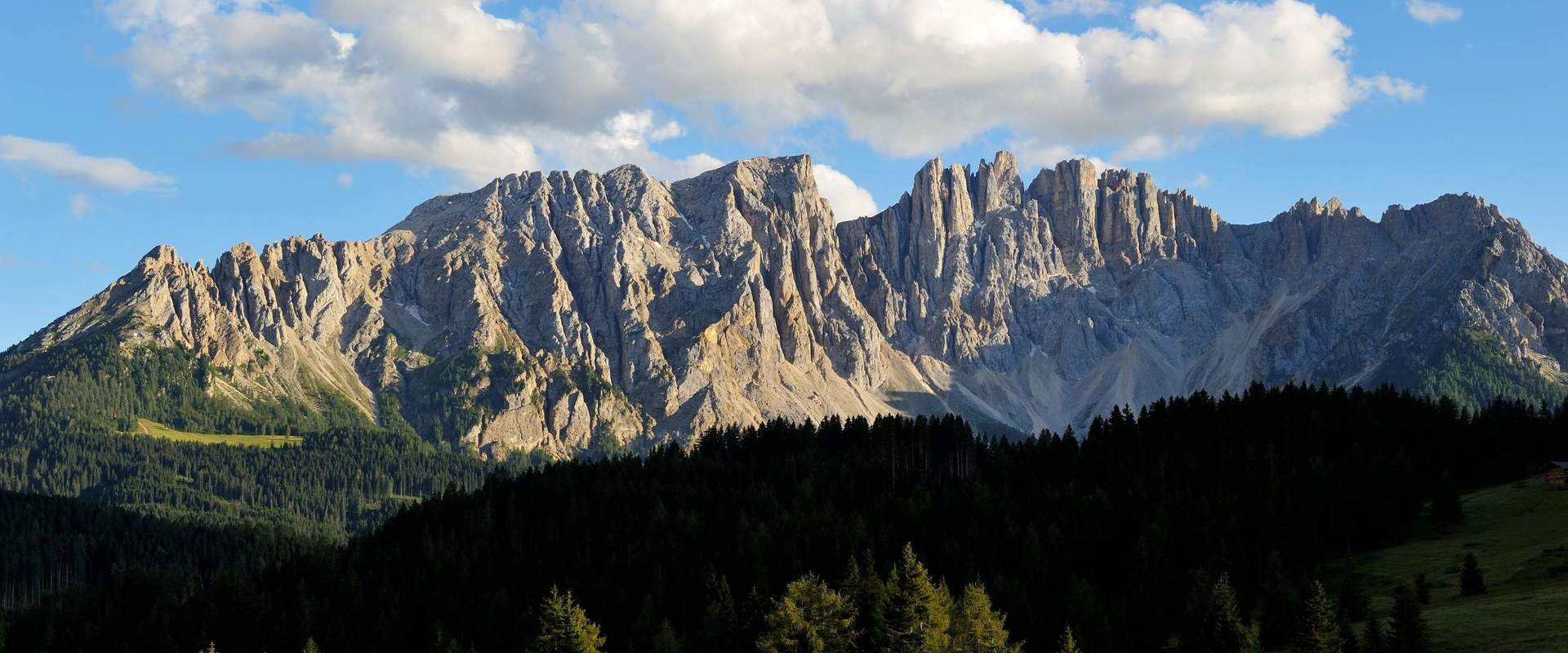 Massiccio del Latemar Magnifica vista sui prati verdi e sulle foreste di fronte al massiccio del Latemar.