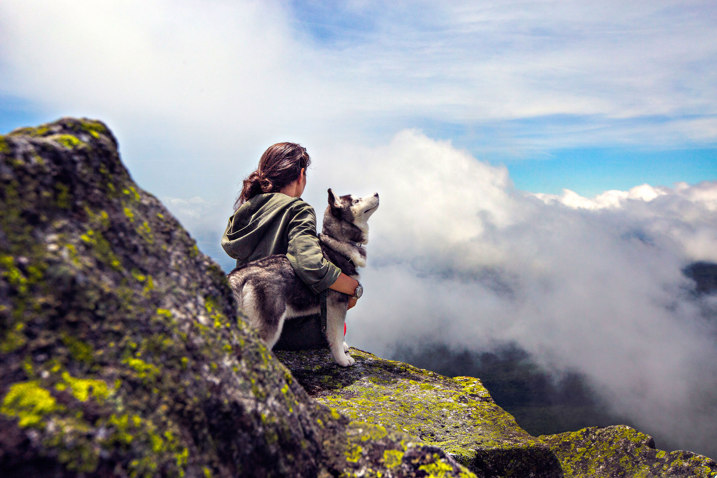 Donna seduta con il suo cane su una pietra in montagna.