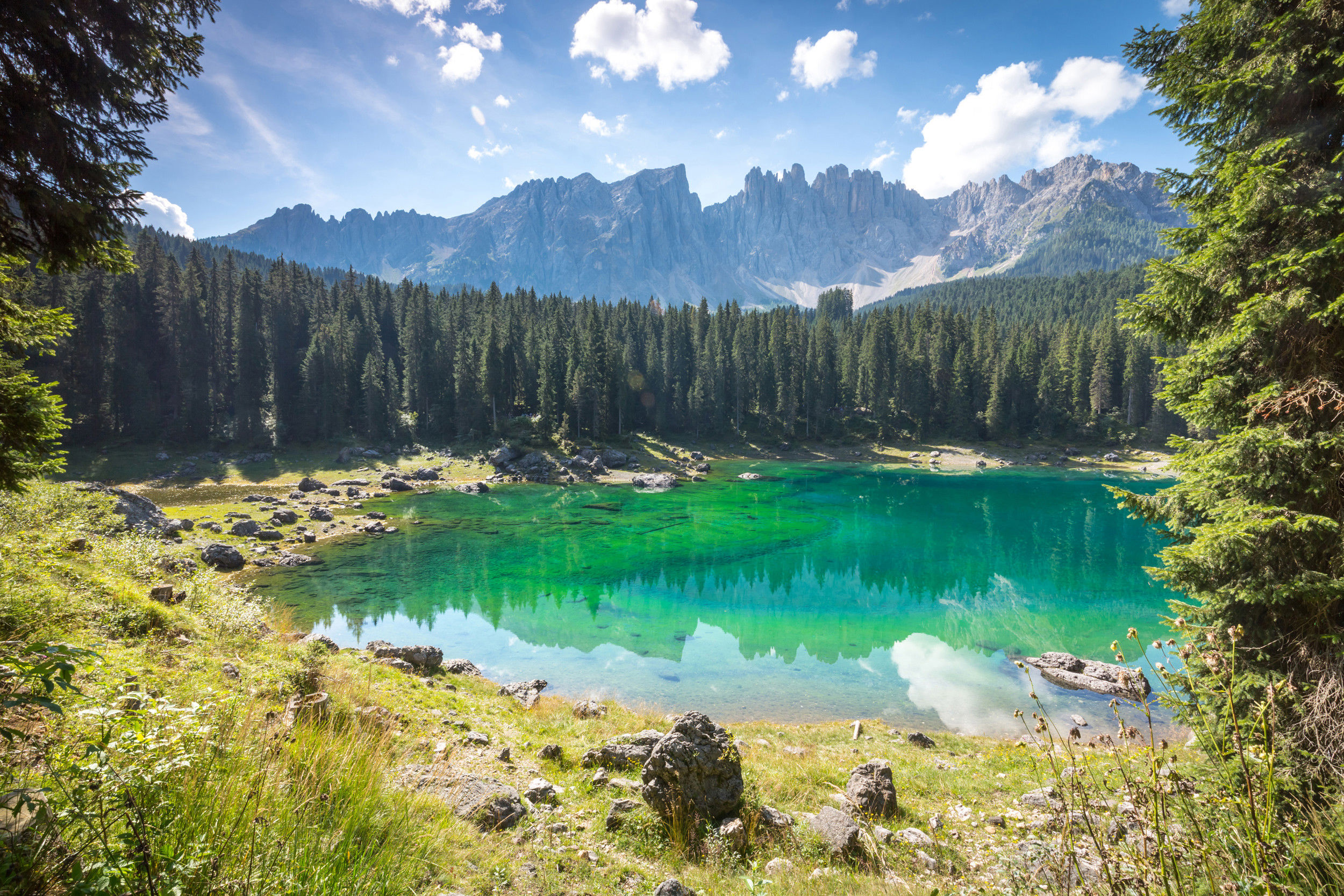 Le rive di un lago di montagna di colore verde brillante, incorniciato da boschi di conifere e pareti rocciose.
