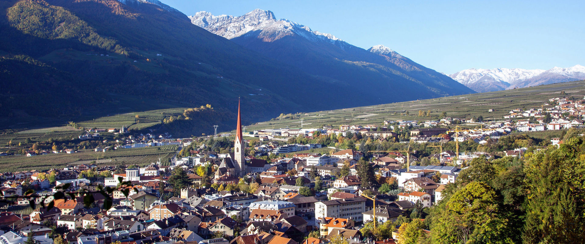 Silandro in Val Venosta Vista su di Silandro con case, campanile, alberi e montagne sullo sfondo.