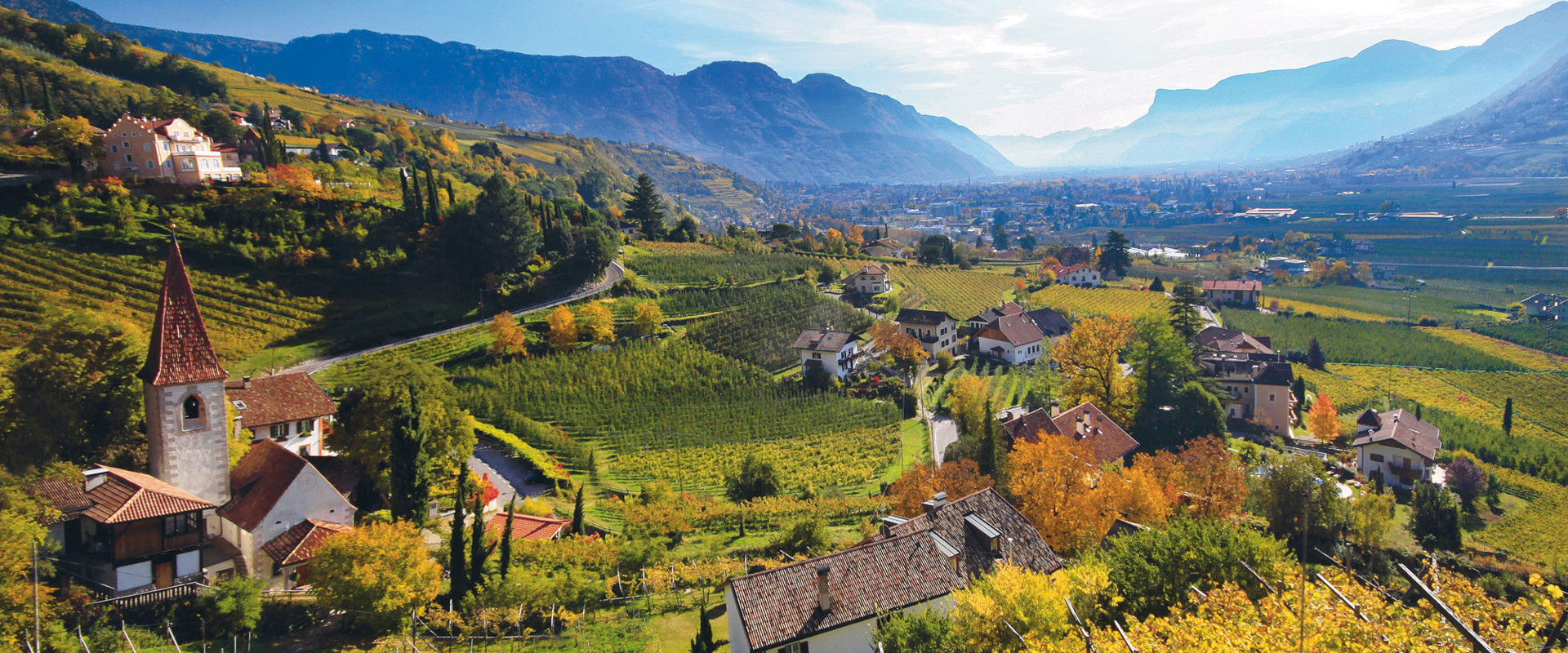 Lagundo Vista sui vigneti dorati di Lagundo in autunno