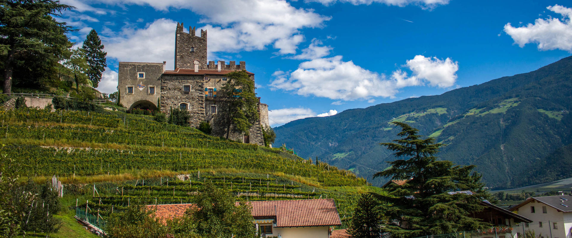 Castel Naturno Il Castel Naturno situato su un’altura e circondato da vigneti.
