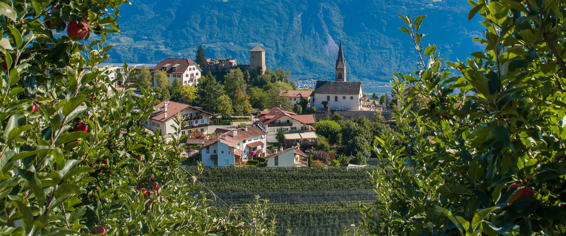Foiana Circondato da frutteti e vigneti, il piccolo paese di Foiana con la chiesa di Santa Maddalena.