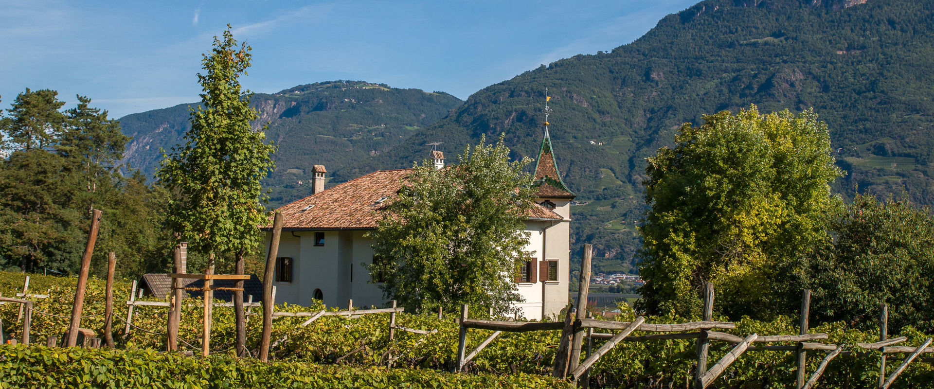 Viti ad Andriano Vista su un maso circondato da vigneti