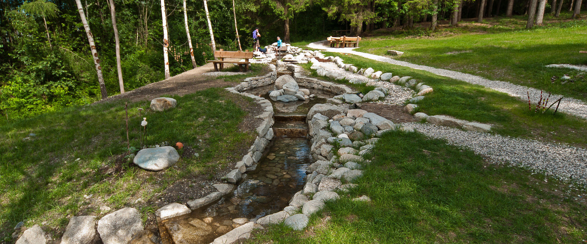 Percorso Kneipp a Riscone Percorso Kneipp costruito con pietre nella foresta.