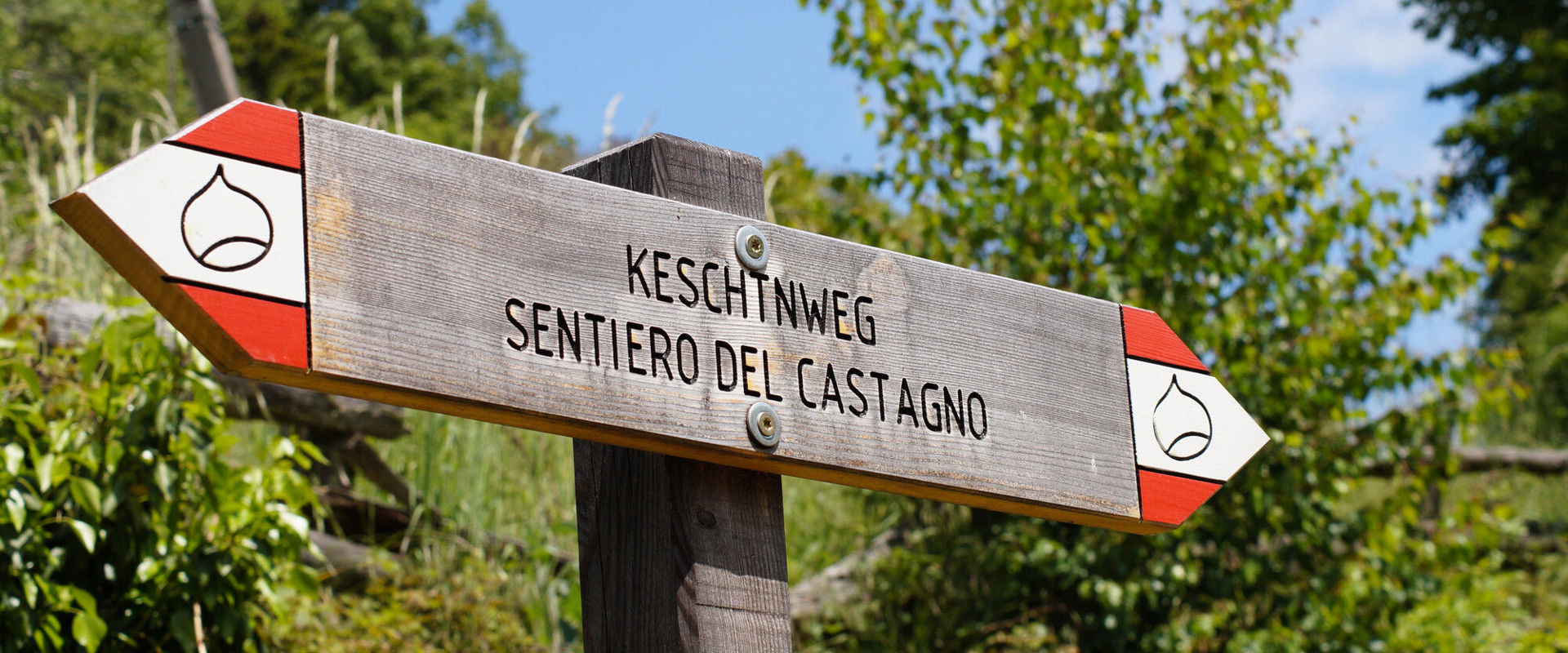 Sentiero del Castagno a Velturno Segnaletica del Sentiero del Castagno a Velturno.