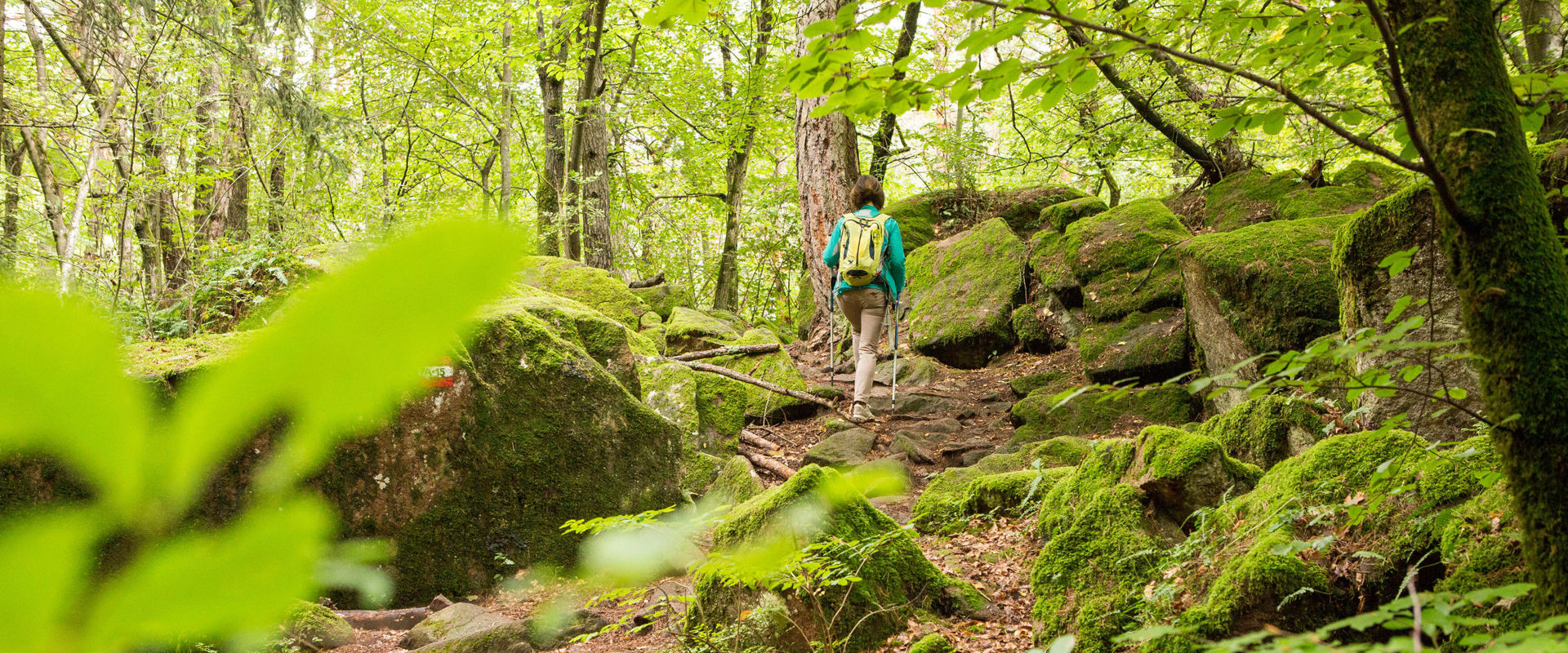 Buche di Ghiaccio ad Appiano Donna cammina in una foresta rocciosa e muschiosa.