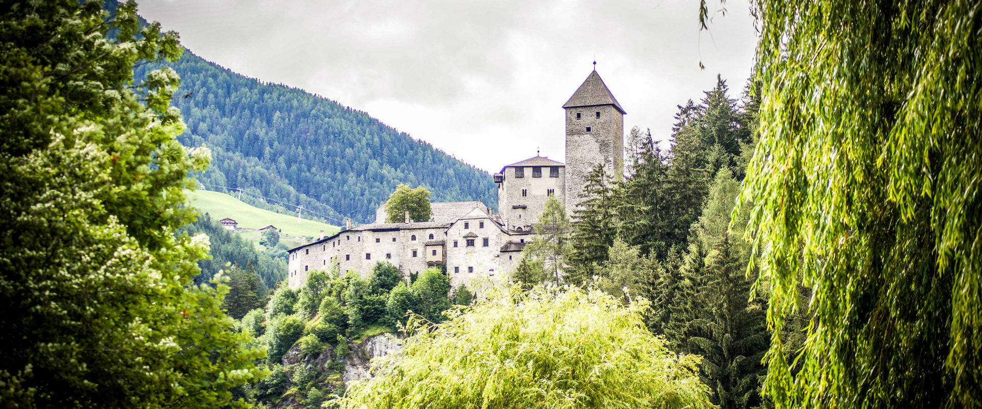 Castel Taufers troneggia su una collina rocciosa in forte ascesa, circondata da alberi.
