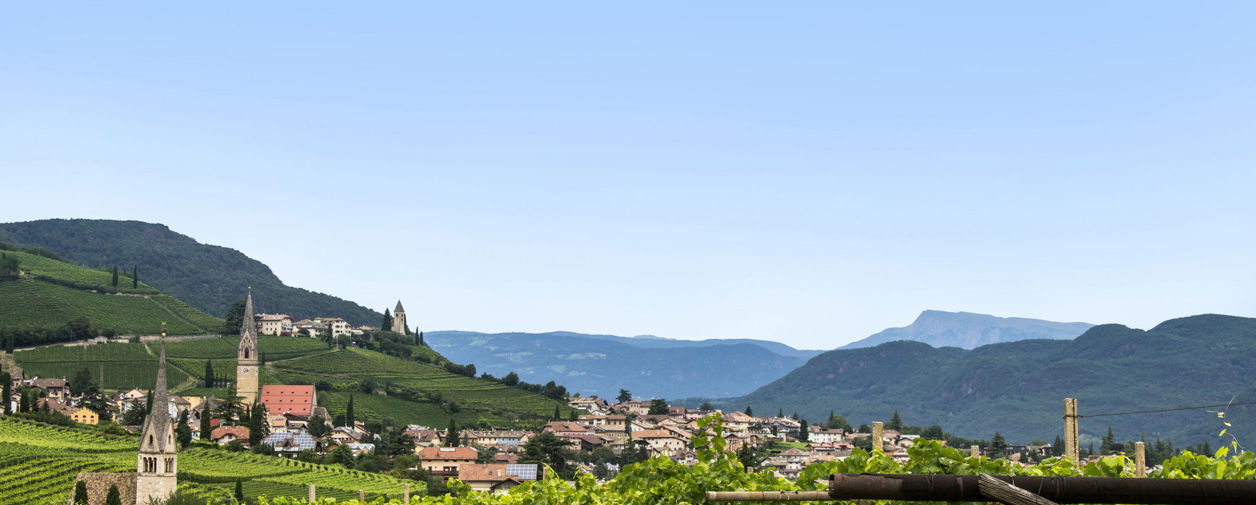 Appartamenti / Residence a Termeno sulla Strada del Vino