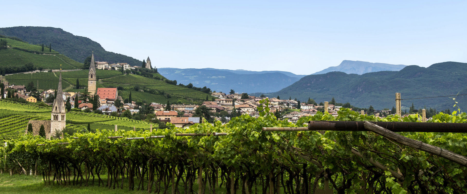Paese vinicolo di Termeno Vista del paese vinicolo di Termeno, circondato da viti verdeggianti.
