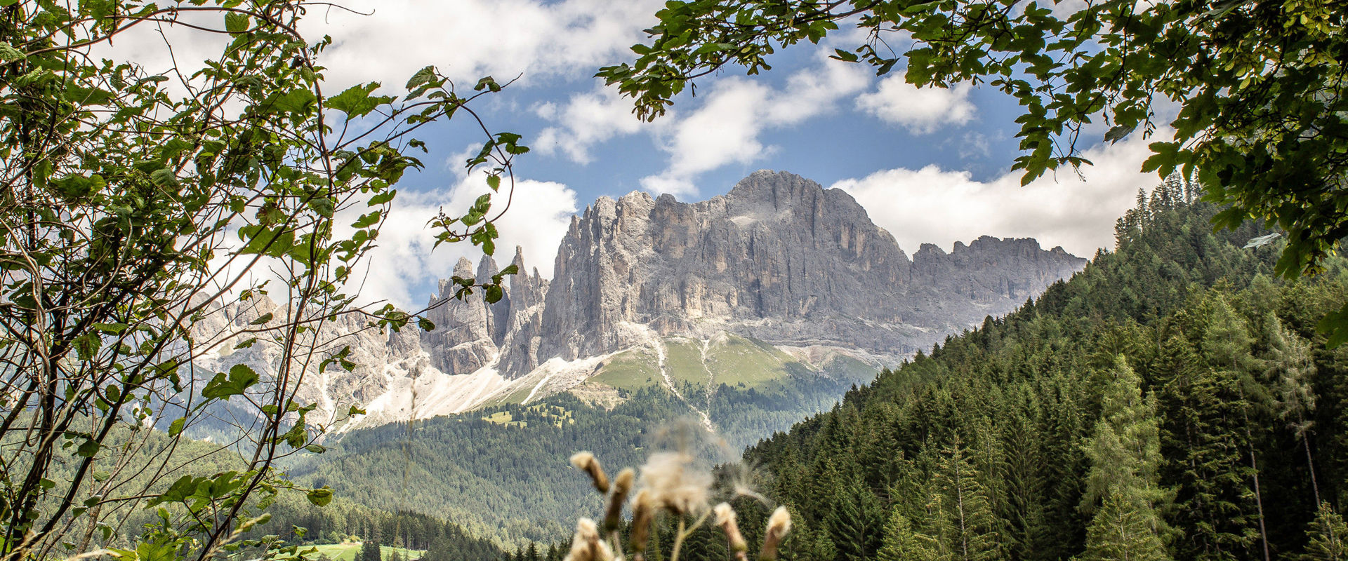 Vista sulle montagne lungo l'Alta Via.