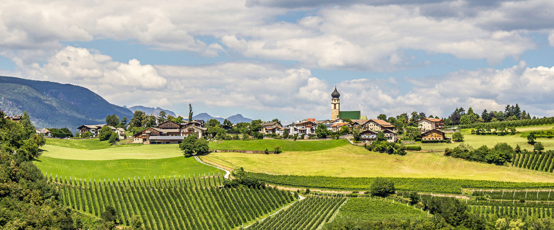 Fiè allo Sciliar, circondato da vigneti e pascoli.