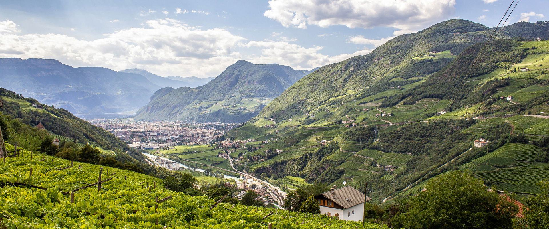 Colline verdeggianti, vigneti e la città di Bolzano