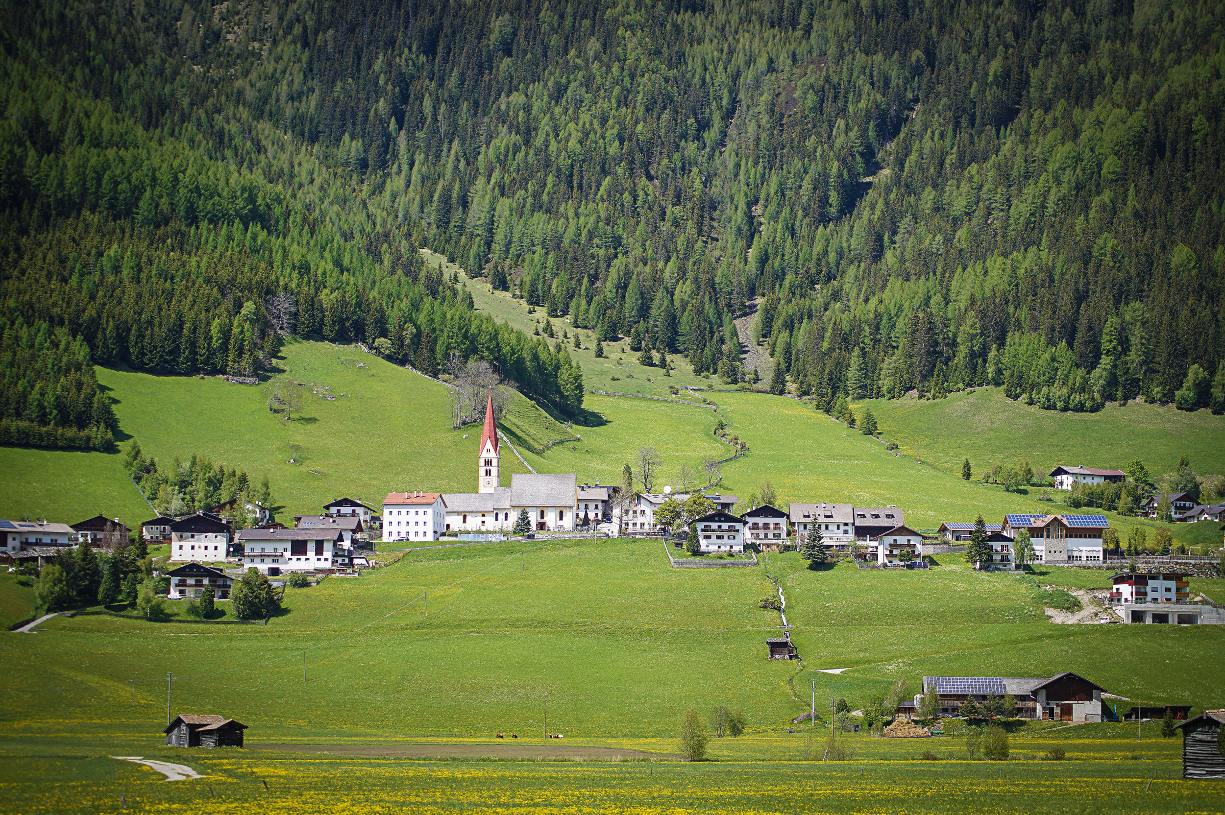 Caminata in Val di Vizze con lussureggianti prati verdi