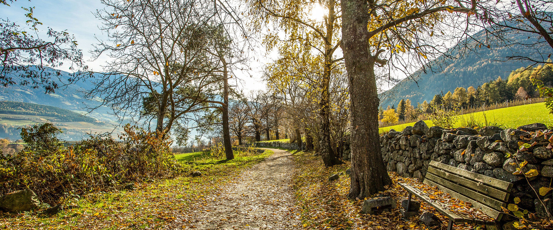 Varna Sentiero alberato vicino Varna in Valle Isarco in autunno