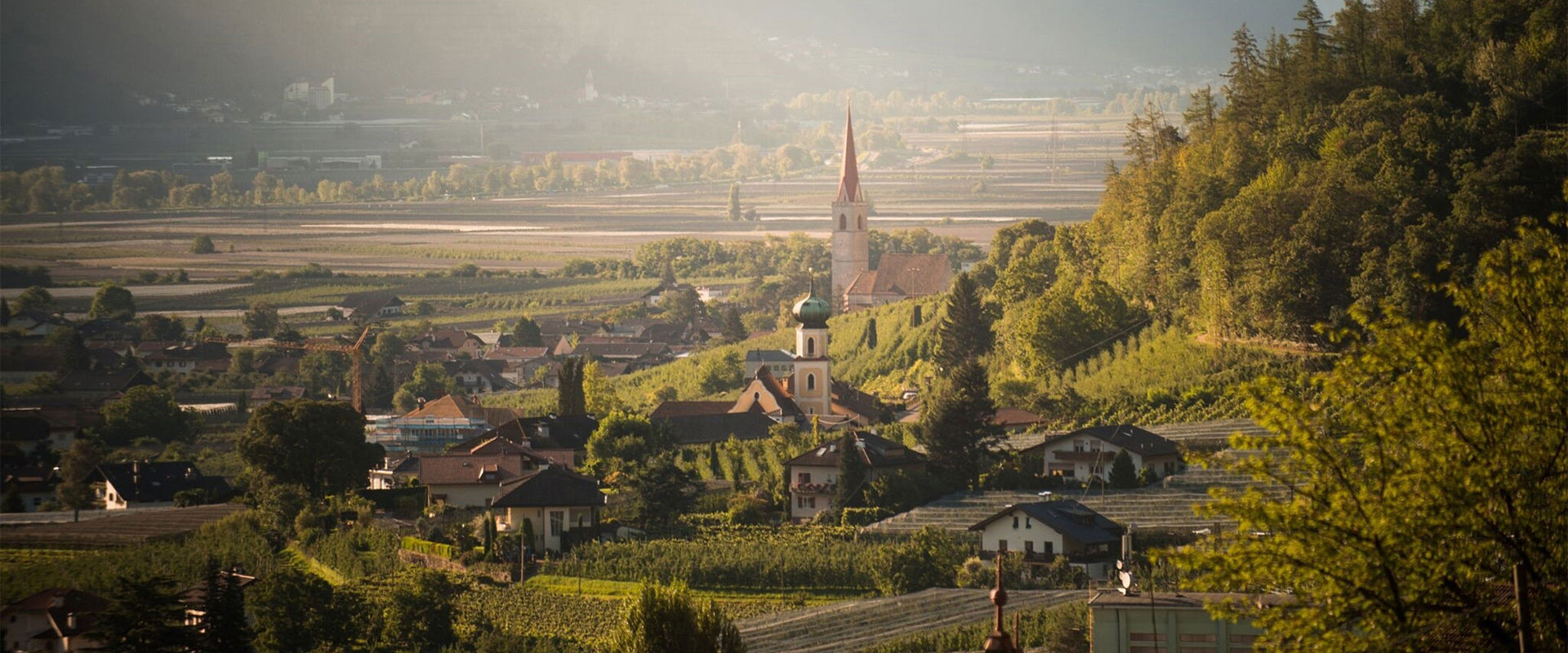 Lana Vista su Lana, la sua chieda e i vigneti che la circondano