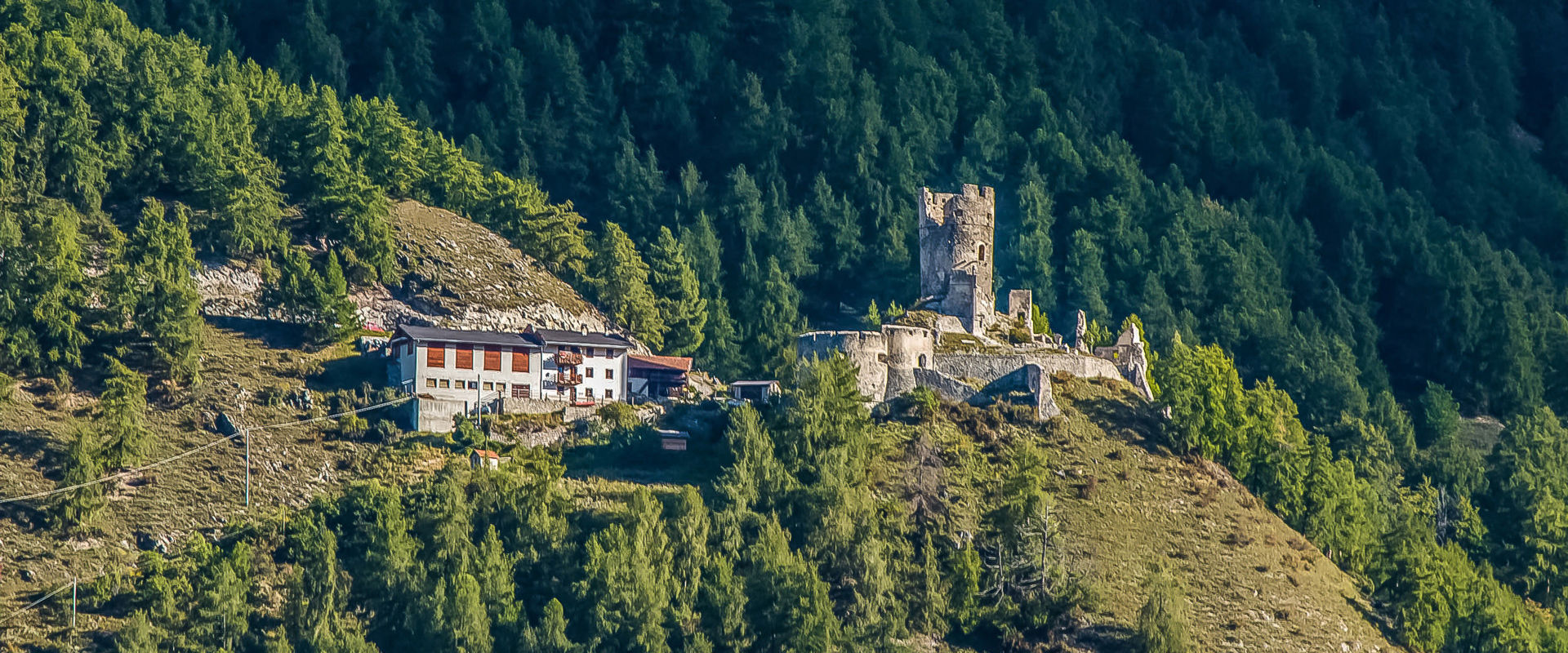 Castelli Rotund e Reichenberg Vista delle rovine del castello in mezzo a fitte foreste.
