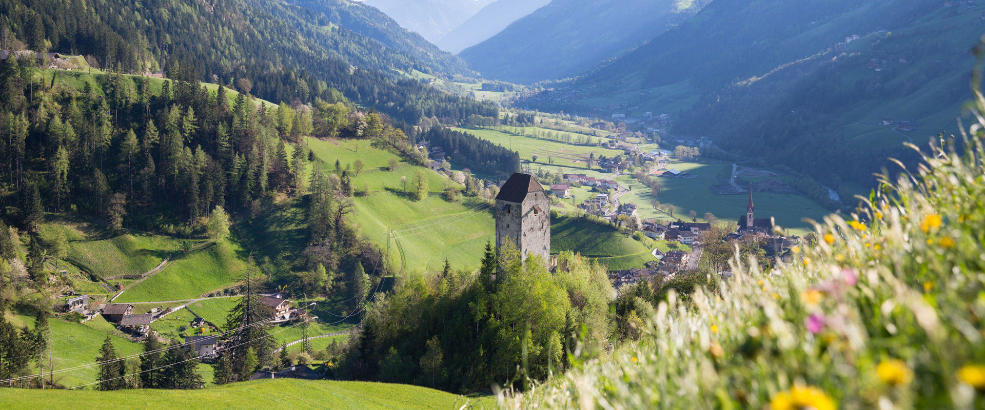 Castel Giovo Vista sulla torre del Castel Giovo e sul paesaggio naturale circostante.