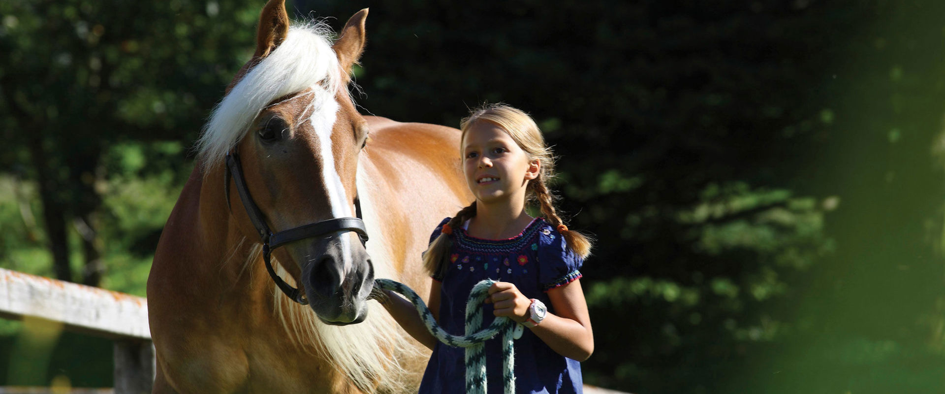 Bambina che passeggia con docile cavallo avelignese per le briglie nelle Dolomiti.