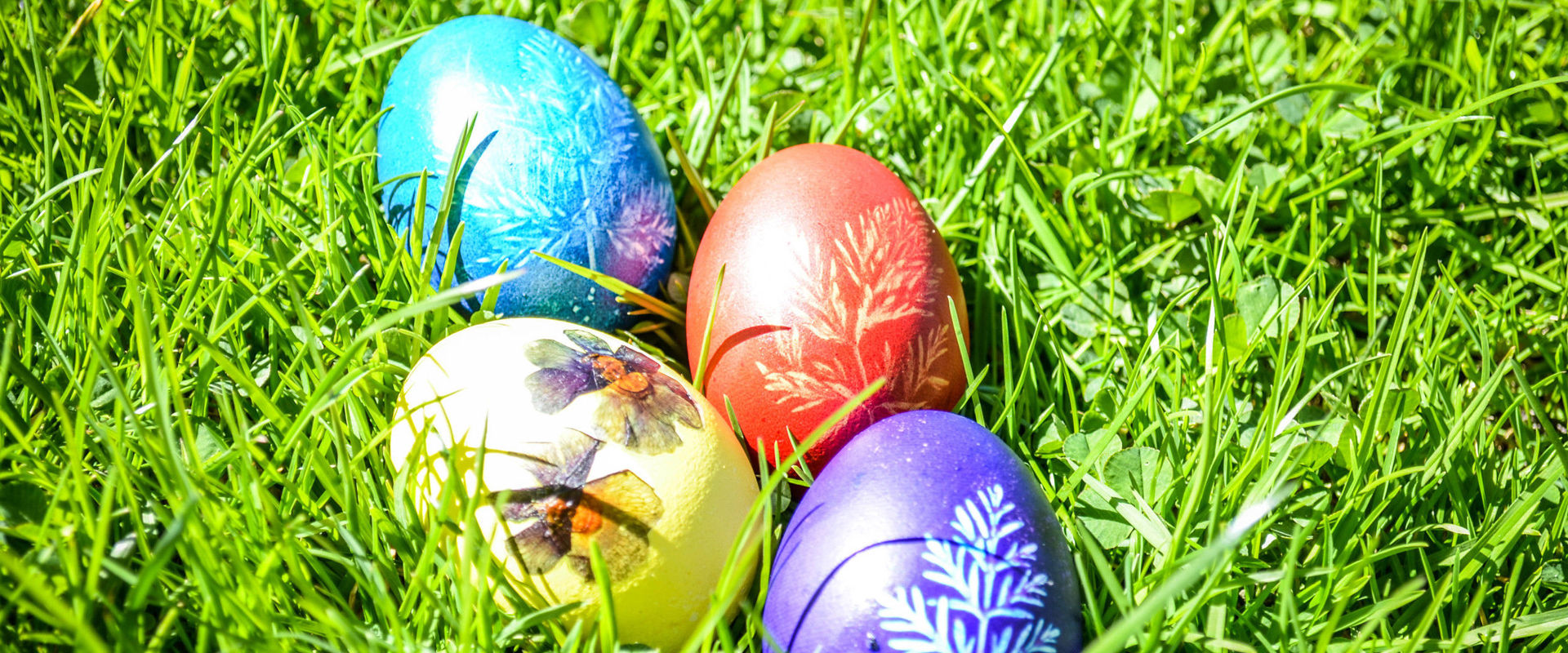 Uova di Pasqua colorate Le uova di Pasqua giacciono nell'erba.
