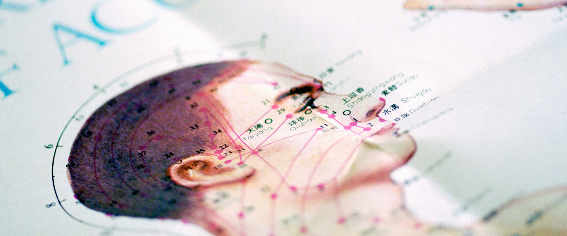 Medicina complementare Immagine dei punti di agopuntura della testa.