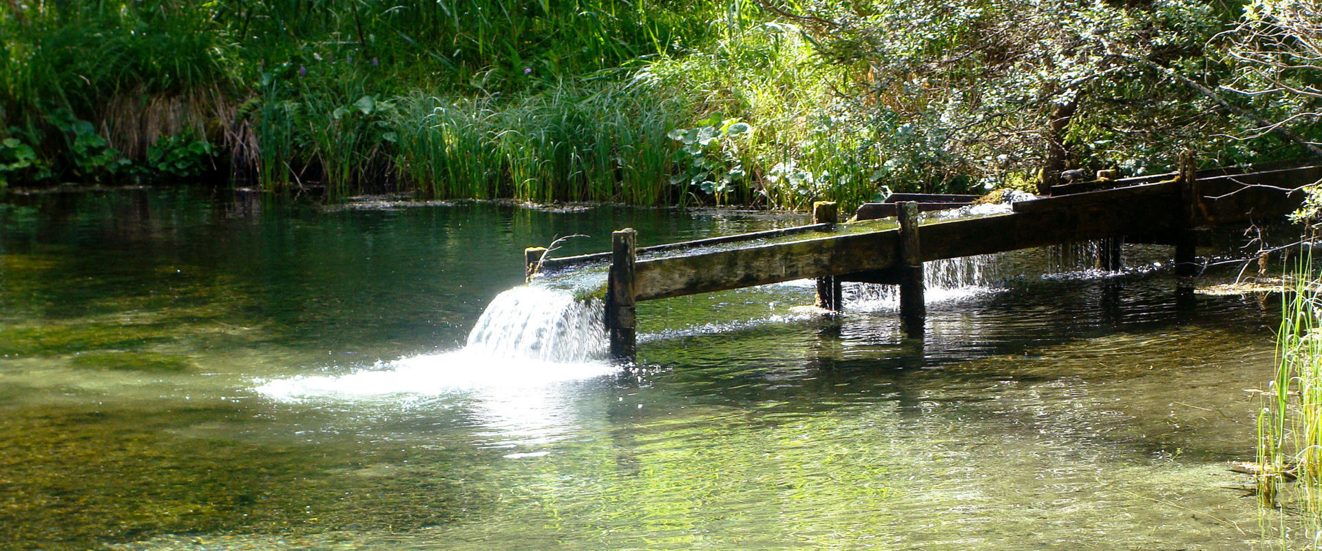 Dell'acqua fresca confluisce in un laghetto attraverso un canale di legno.