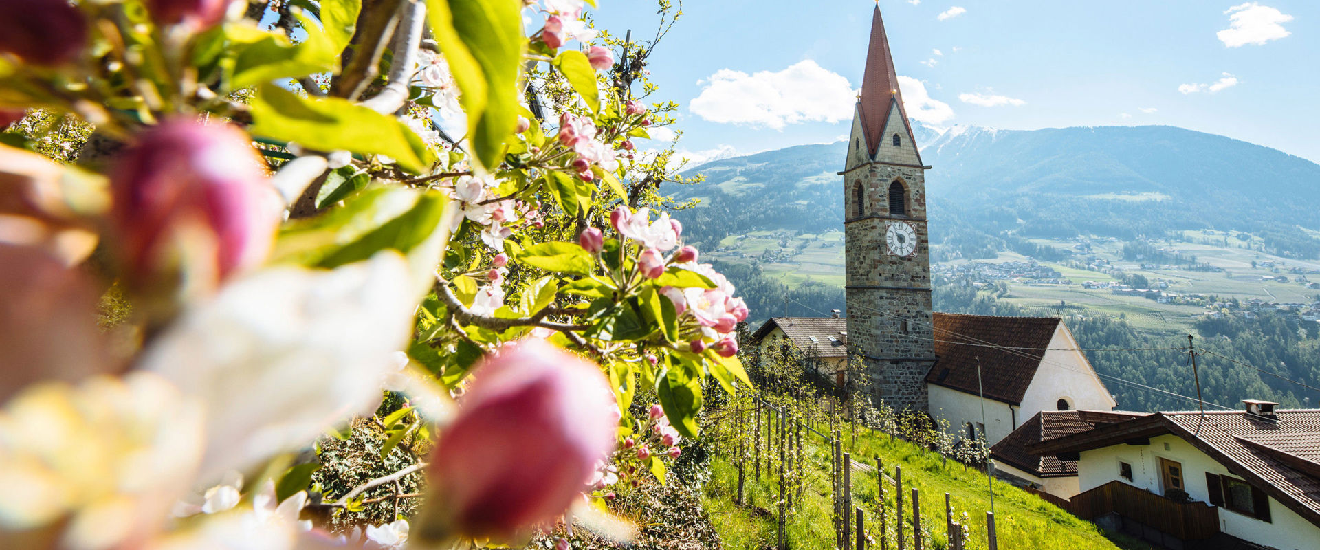 Parrocchia di Caines Fiori di melo e parrocchia di Caines ai Santi Maurizio e Corbiniano
