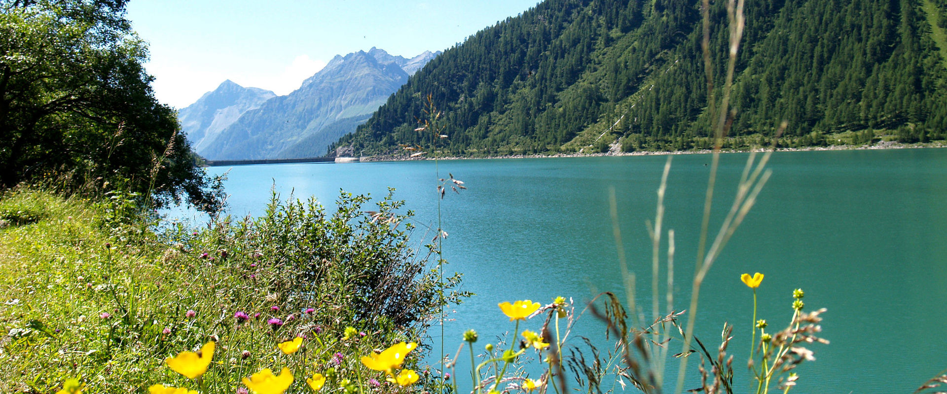 Lago di Neves Vista sul Lago di Neves, sui prati in fiore e sulle alte montagne.
