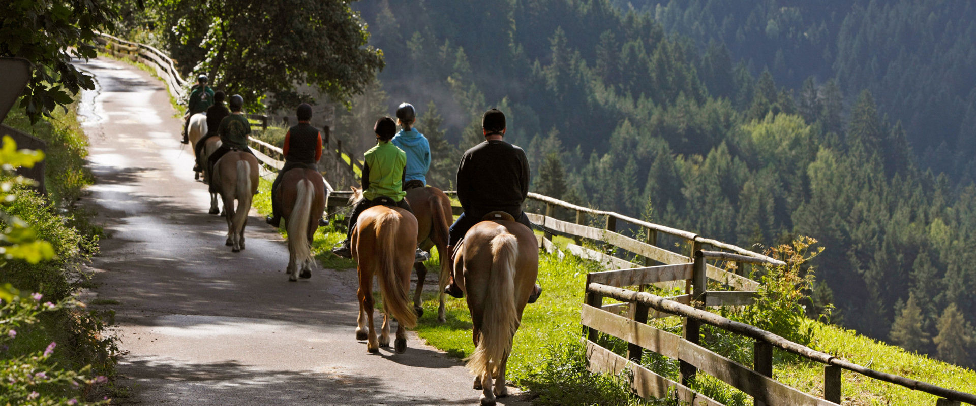 A cavallo a Merano Passeggiata a cavallo su un tranquillo sentiero tra i boschi di Merano