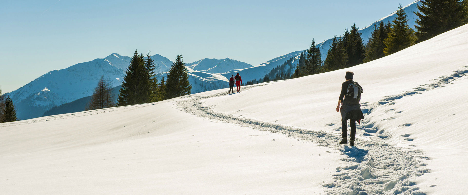 Escursionisti invernali Escursionisti invernali percorrono un sentiero coperto di neve.