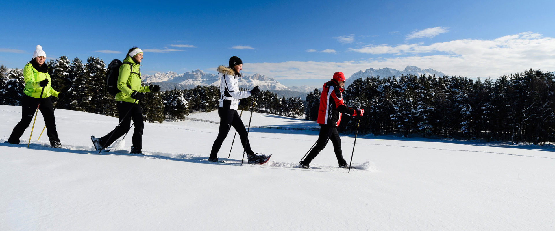 4 escursionisti con le ciaspole percorrono un prato innevato.