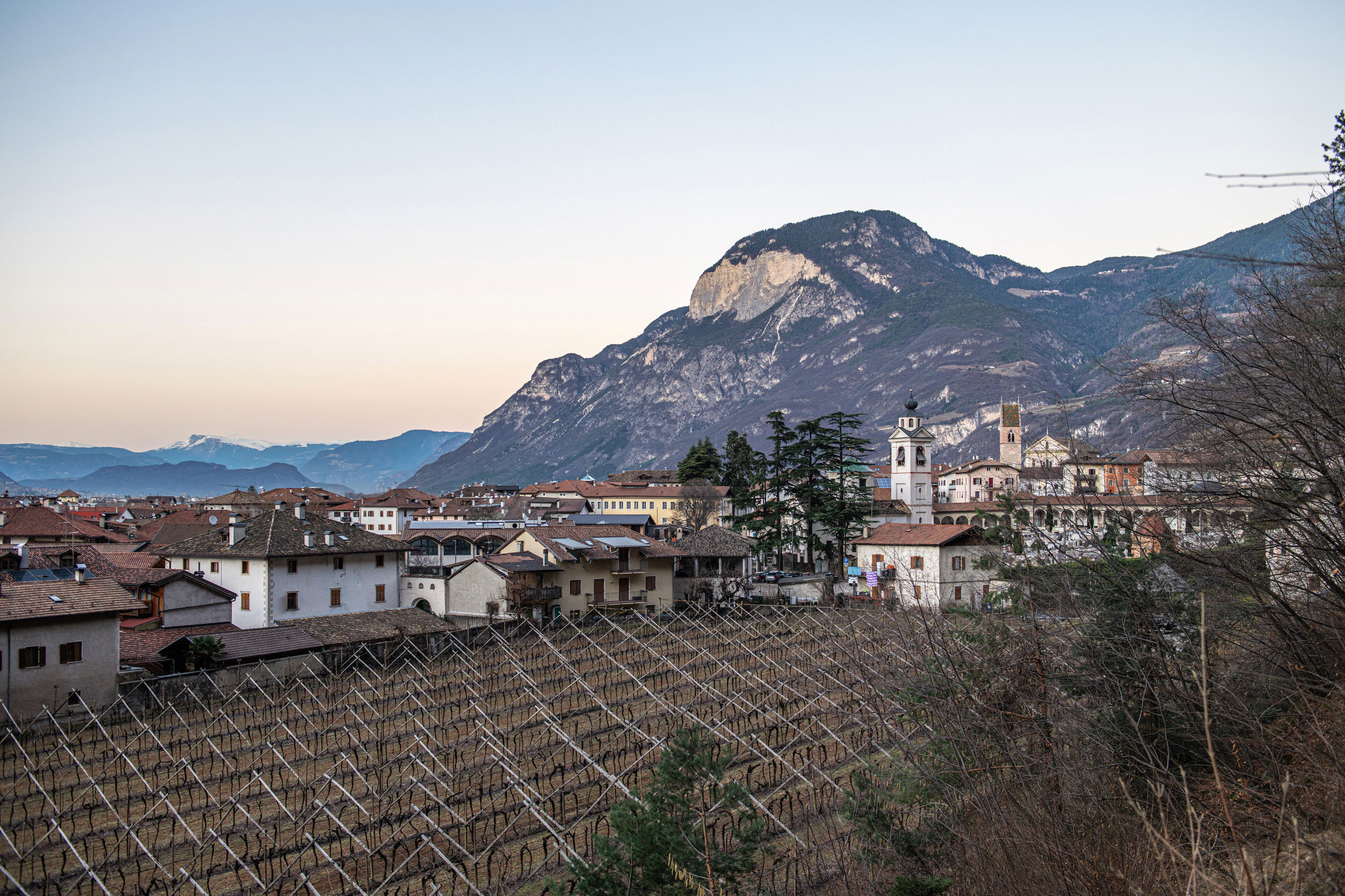 Crepuscolo su Salorono in inverno. Le viti spoglie riempiono l'immagine, in lontananza, al centro del paese, si nota la chiesa parrocchiale S. Andrea.