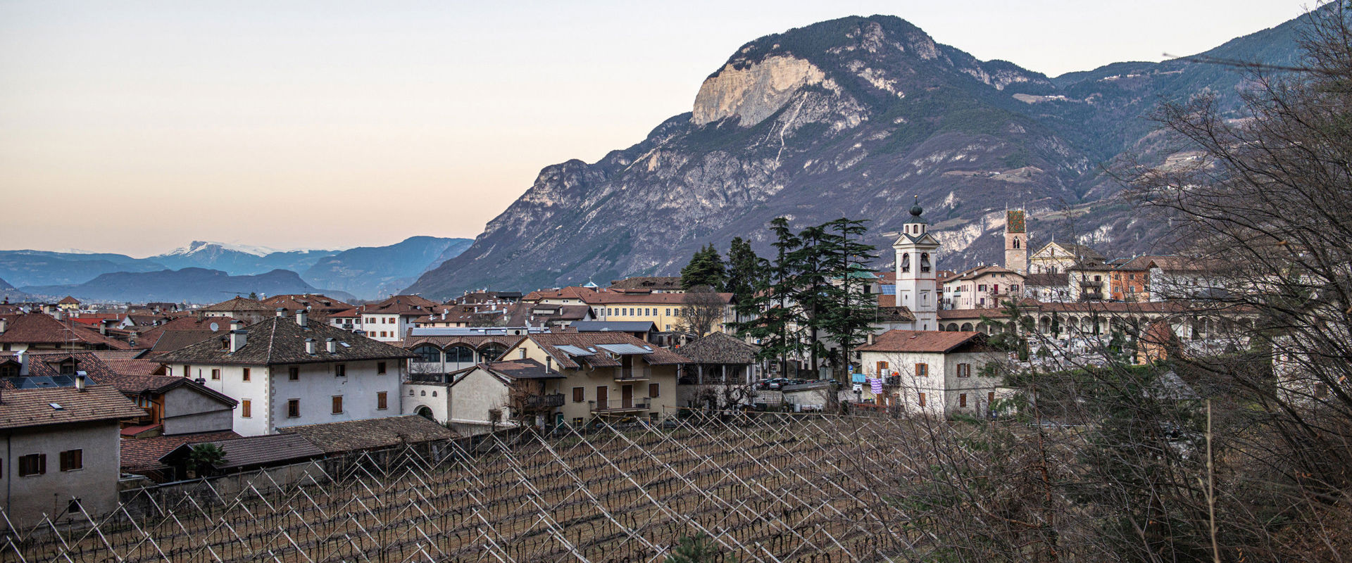 Salorno d'inverno Crepuscolo su Salorono in inverno. Le viti spoglie riempiono l'immagine, in lontananza, al centro del paese, si nota la chiesa parrocchiale S. Andrea.