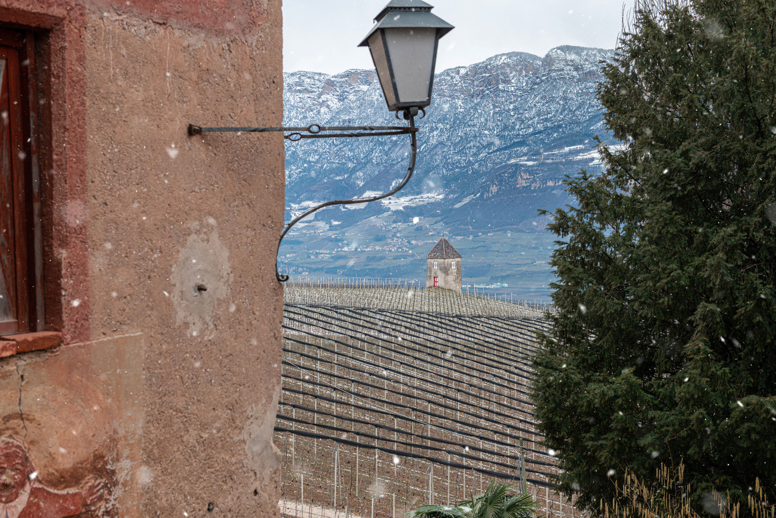 Vista dalla finestra sulla pianura della Bassa Atesina e sulle viti spoglie.