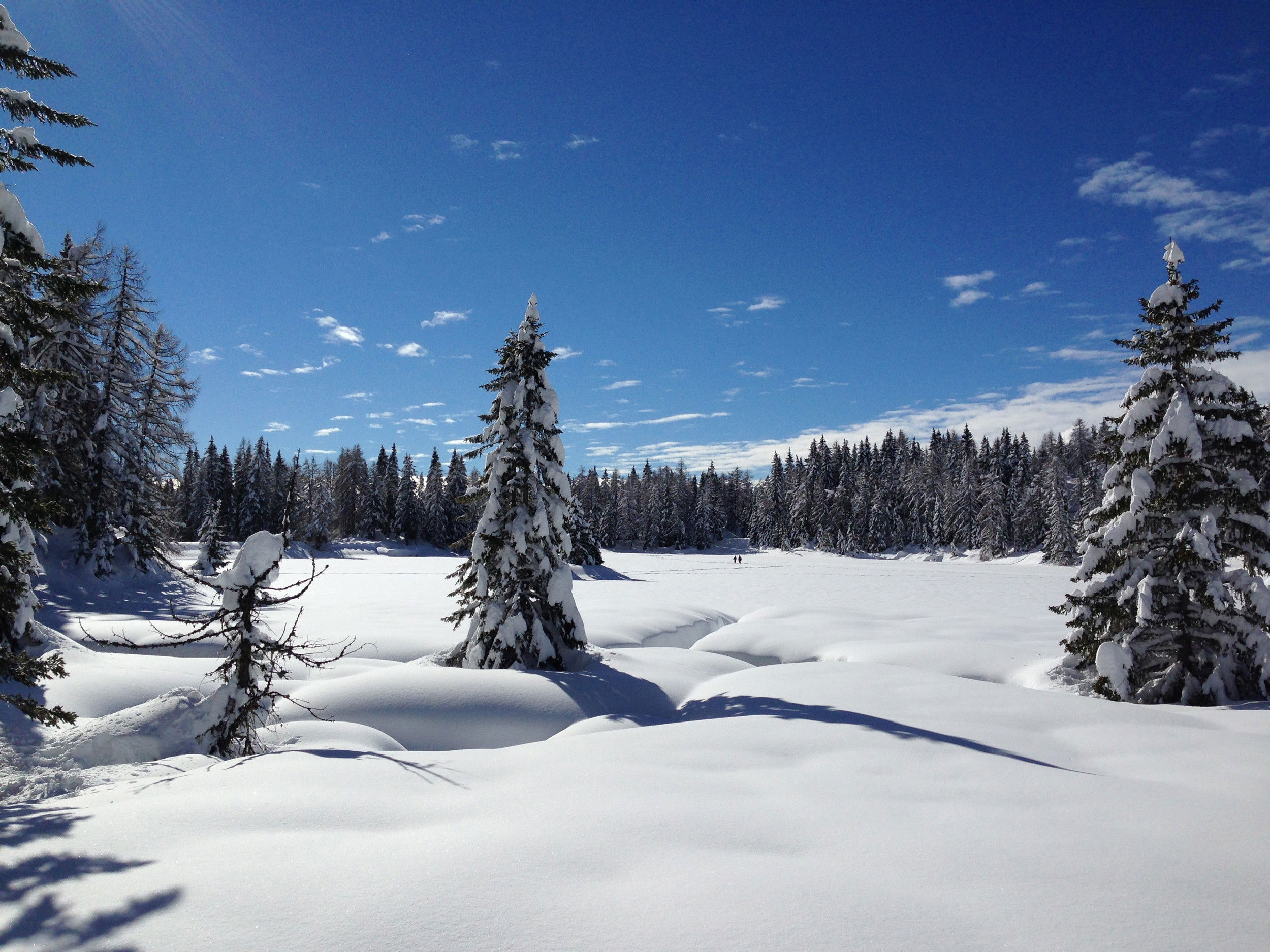 Boschi innevati a Lauregno