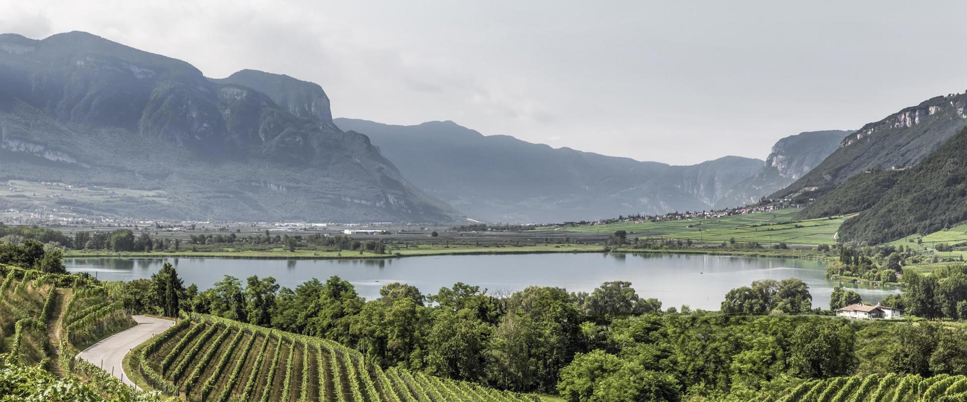 Lago di Caldaro con vigneti.