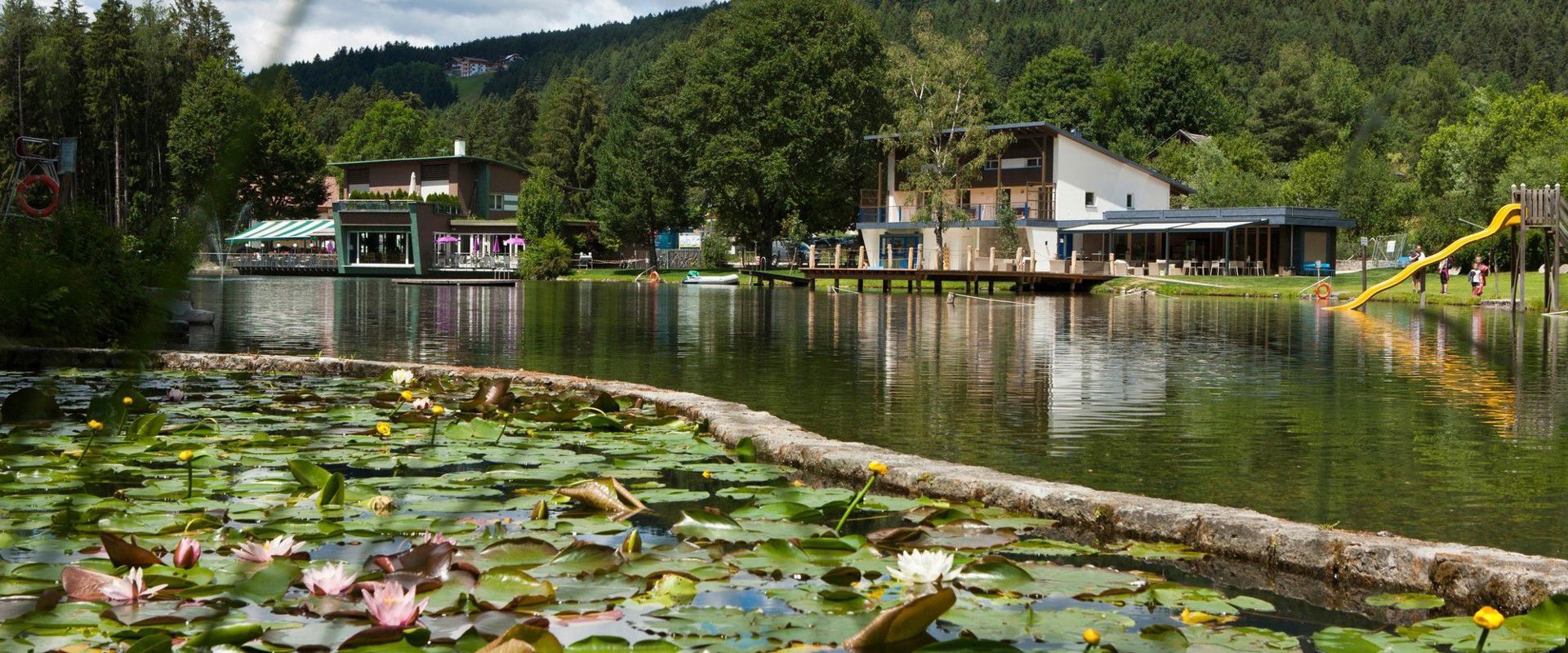 Ninfee al Lago di Issengo