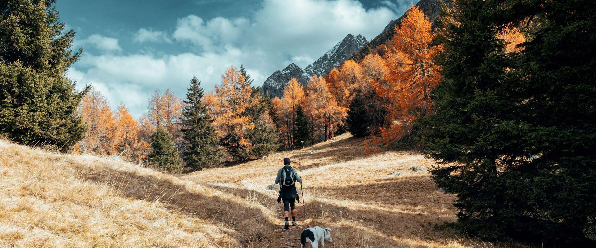 Escursionisti con cani a Merano e dintorni in autunno