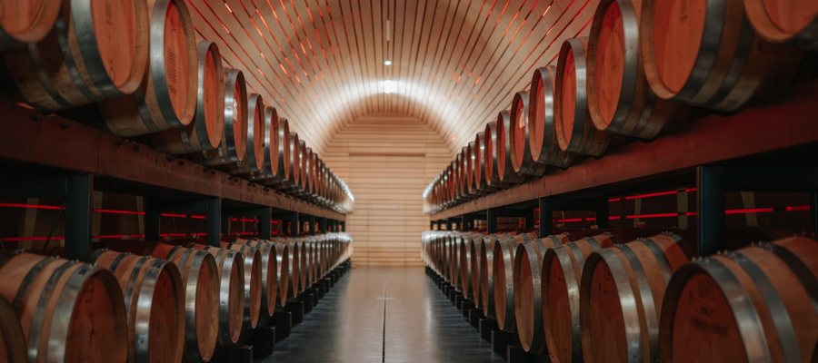 Botti di vino allineate a destra e a sinistra in una nuova cantina