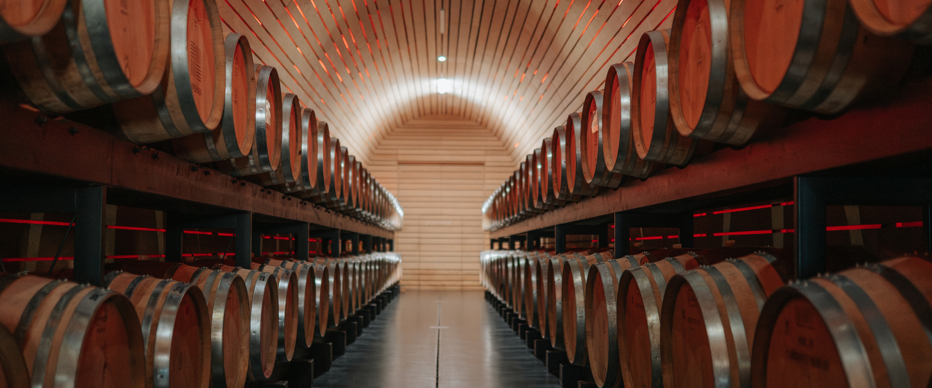 Botti di vino allineate a destra e a sinistra in una nuova cantina
