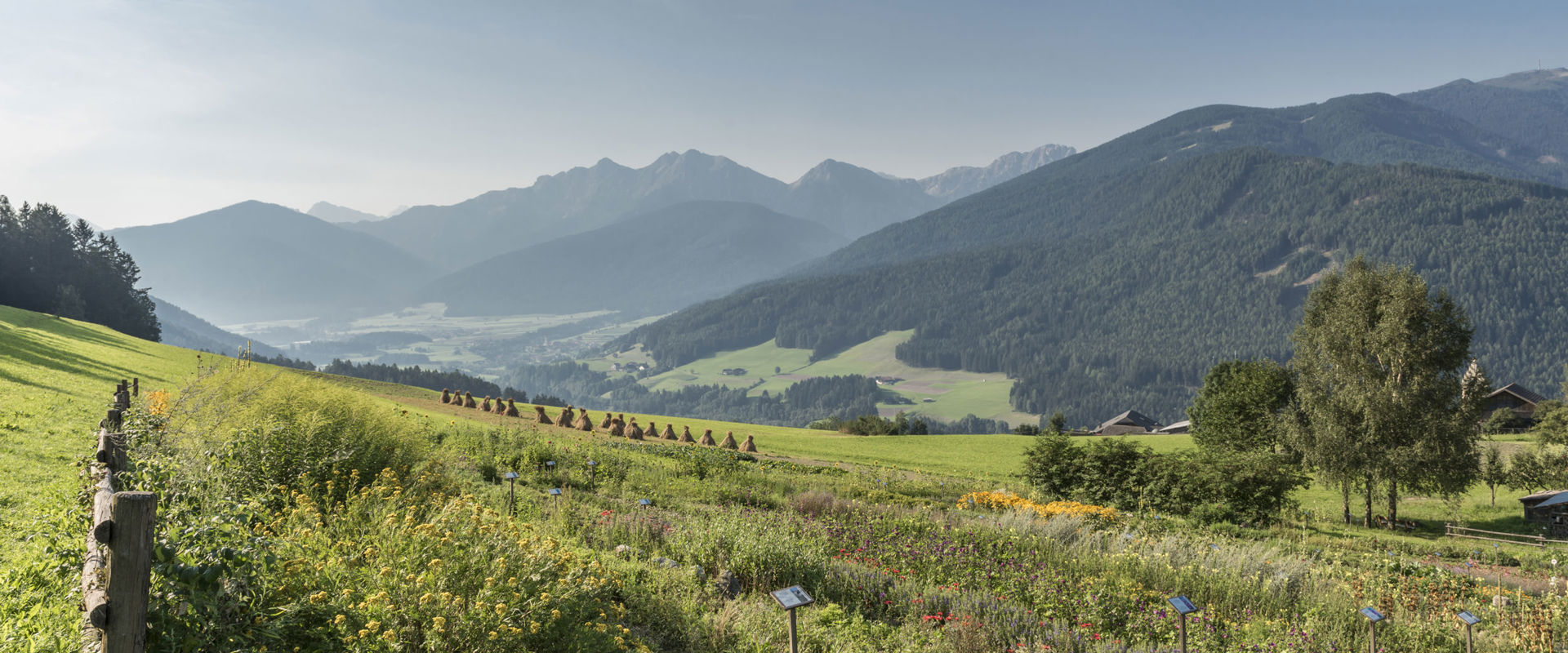 Bellissimo giardino colorato vicino Perca con vista sulla Val Pusteria