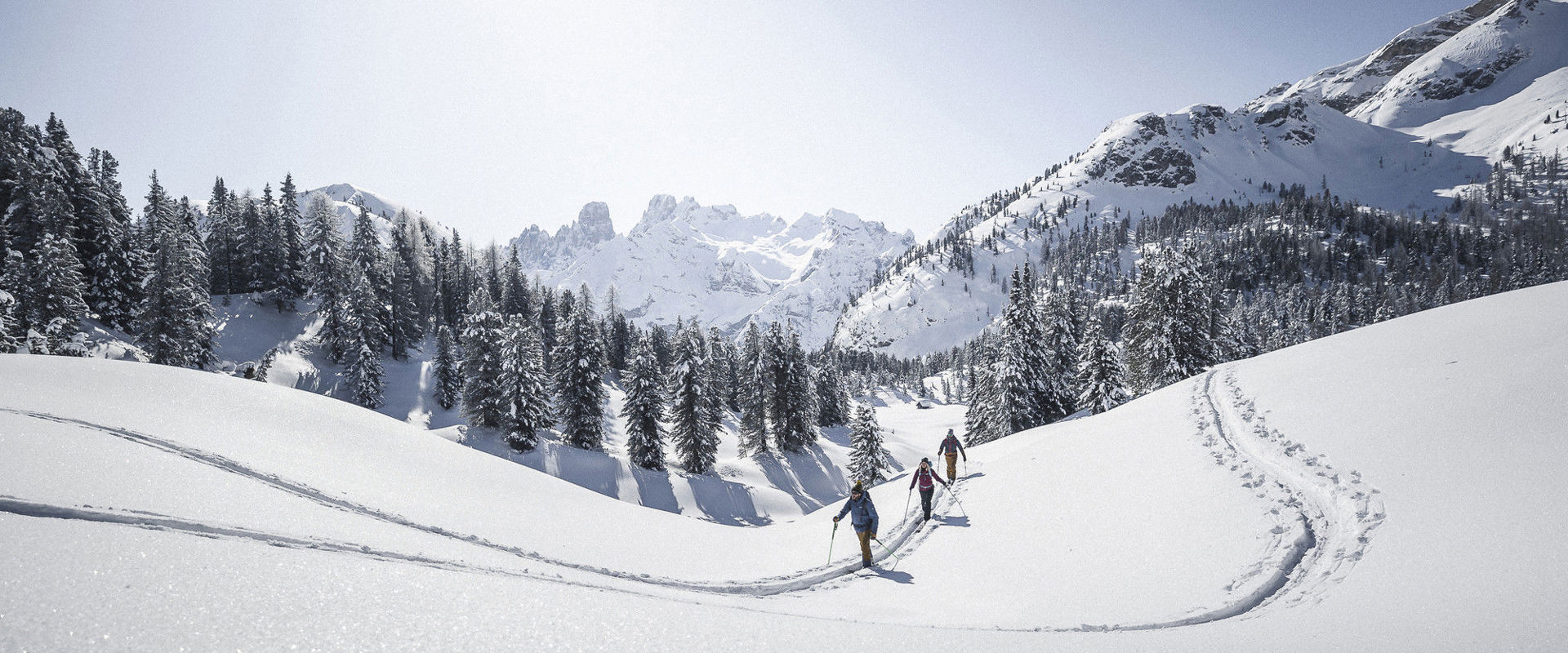 Sciatori alpinisti Terreno montano innevato con 3 sciatori alpinisti.