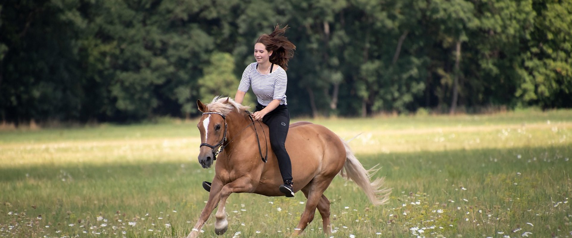 Haflinger Equitazione a Bolzano, giovane donna su Haflinger che cavalca su un prato
