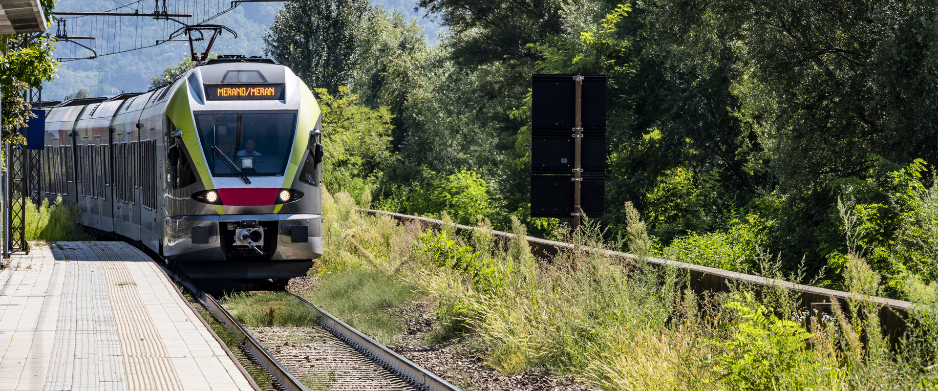 Treno in arrivo al binario, circondato da cespugli e alberi