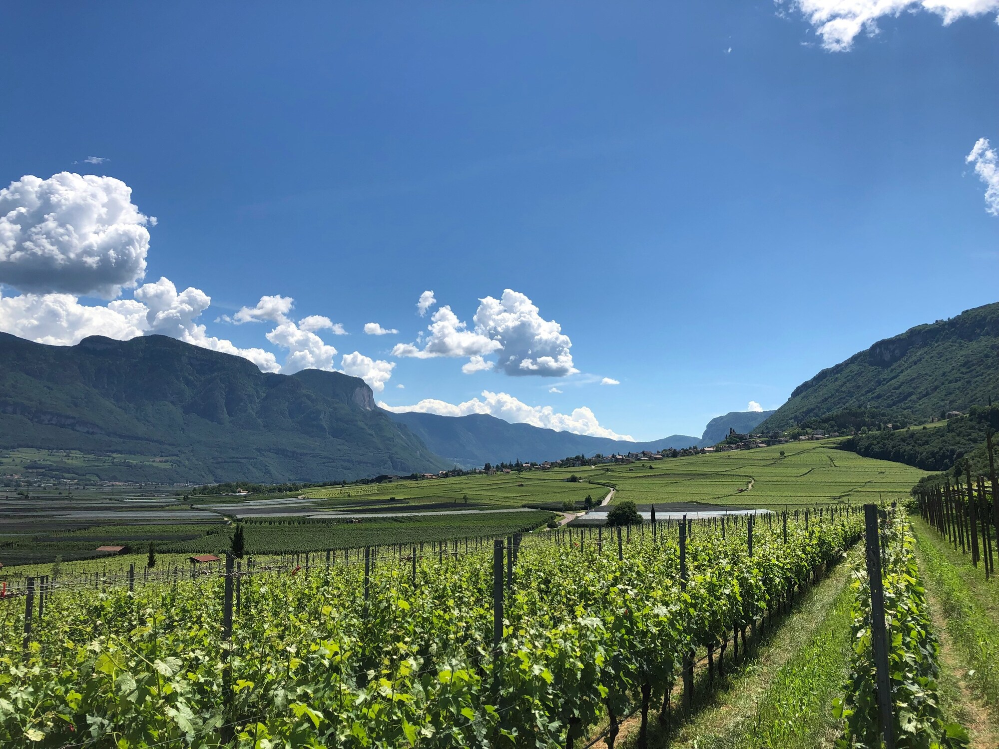 Vista sulla Bassa Atesina