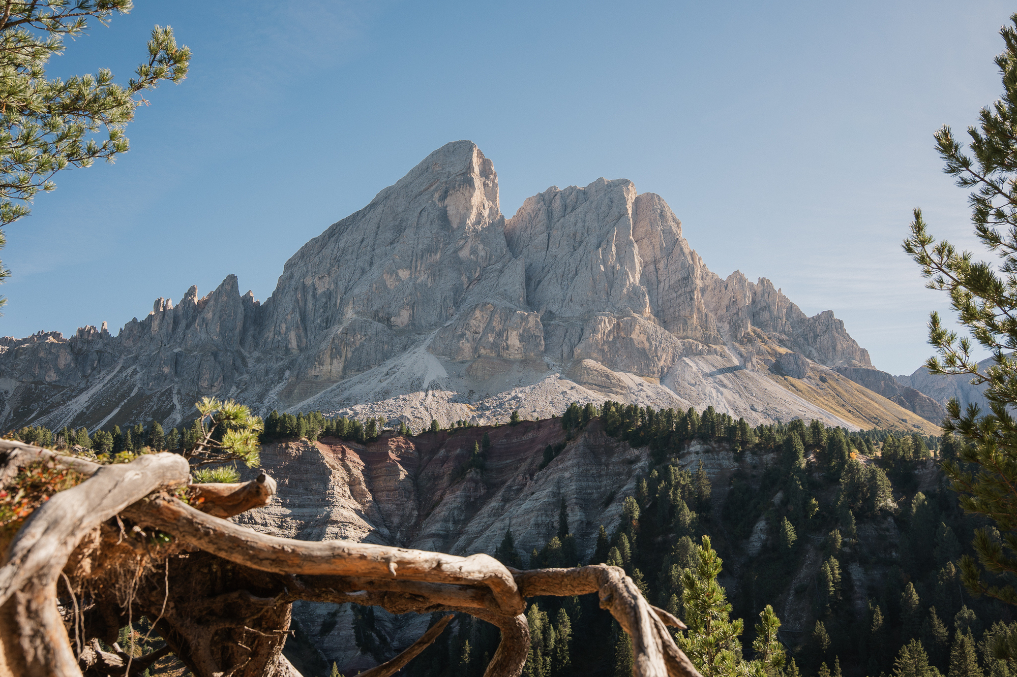 Cima di montagna isolata, strati di terra e alberi con formazioni di radici