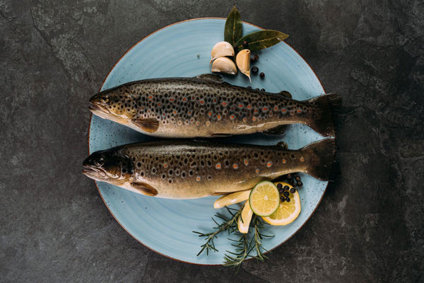 Specialità di pesce dalla Val Passiria