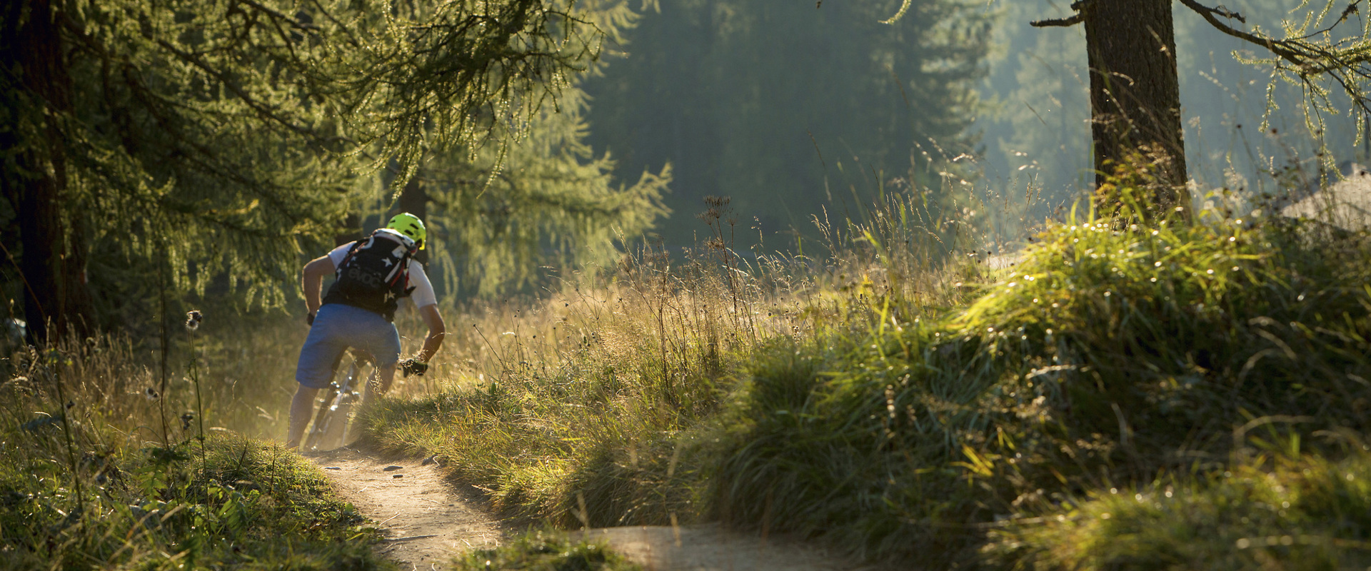 Freerider sul Carezza Trail