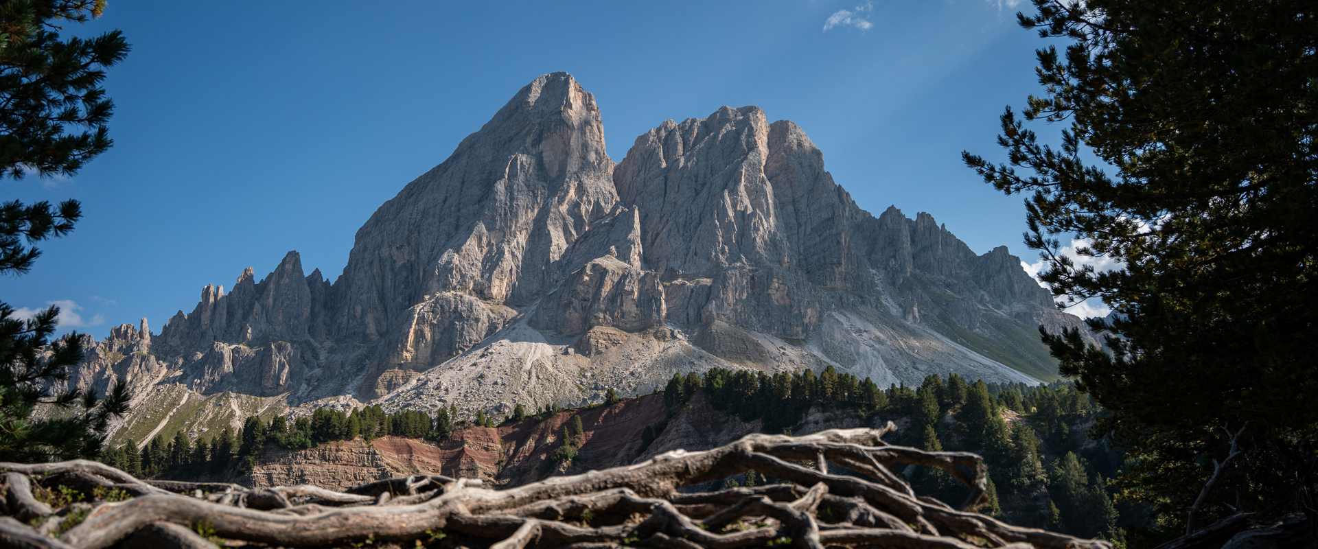 Sasso Putia Cima di montagna isolata, strati di terra e alberi con formazioni di radici